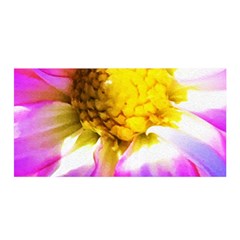 Purple, Pink And White Dahlia With A Bright Yellow Center Satin Wrap