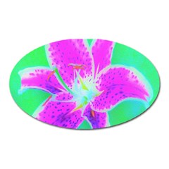 Hot Pink Stargazer Lily On Turquoise Blue And Green Oval Magnet by myrubiogarden