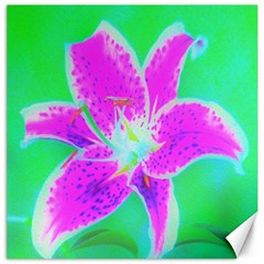 Hot Pink Stargazer Lily On Turquoise Blue And Green Canvas 16  X 16  by myrubiogarden