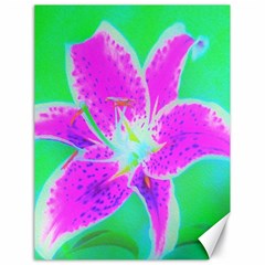 Hot Pink Stargazer Lily On Turquoise Blue And Green Canvas 18  X 24  by myrubiogarden