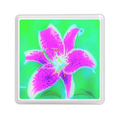 Hot Pink Stargazer Lily On Turquoise Blue And Green Memory Card Reader (square) by myrubiogarden