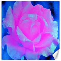 Beautiful Pastel Pink Rose With Blue Background Canvas 20  X 20  by myrubiogarden