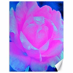 Beautiful Pastel Pink Rose With Blue Background Canvas 18  X 24  by myrubiogarden