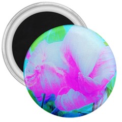 Abstract Pink Hibiscus Bloom With Flower Power 3  Magnets by myrubiogarden