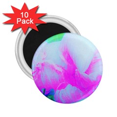 Abstract Pink Hibiscus Bloom With Flower Power 2 25  Magnets (10 Pack)  by myrubiogarden