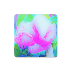 Abstract Pink Hibiscus Bloom With Flower Power Square Magnet by myrubiogarden