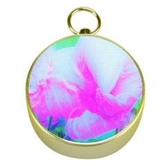 Abstract Pink Hibiscus Bloom With Flower Power Gold Compasses by myrubiogarden