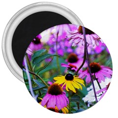 Yellow Flowers In The Purple Coneflower Garden 3  Magnets by myrubiogarden