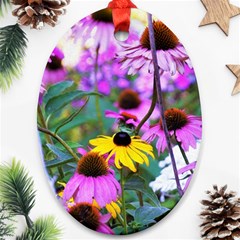 Yellow Flowers In The Purple Coneflower Garden Ornament (oval)