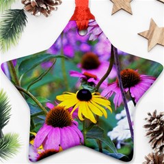 Yellow Flowers In The Purple Coneflower Garden Ornament (star)