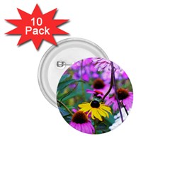 Yellow Flowers In The Purple Coneflower Garden 1 75  Buttons (10 Pack) by myrubiogarden