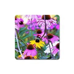 Yellow Flowers In The Purple Coneflower Garden Square Magnet by myrubiogarden