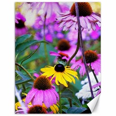 Yellow Flowers In The Purple Coneflower Garden Canvas 18  X 24  by myrubiogarden