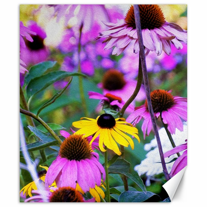 Yellow Flowers In The Purple Coneflower Garden Canvas 20  x 24 