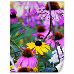 Yellow Flowers In The Purple Coneflower Garden Canvas 36  X 48  by myrubiogarden