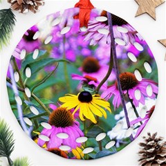 Yellow Flowers In The Purple Coneflower Garden Ornament (round Filigree)