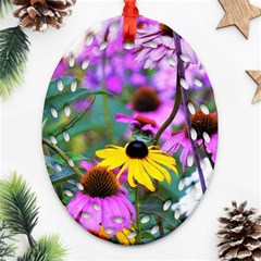 Yellow Flowers In The Purple Coneflower Garden Ornament (oval Filigree)