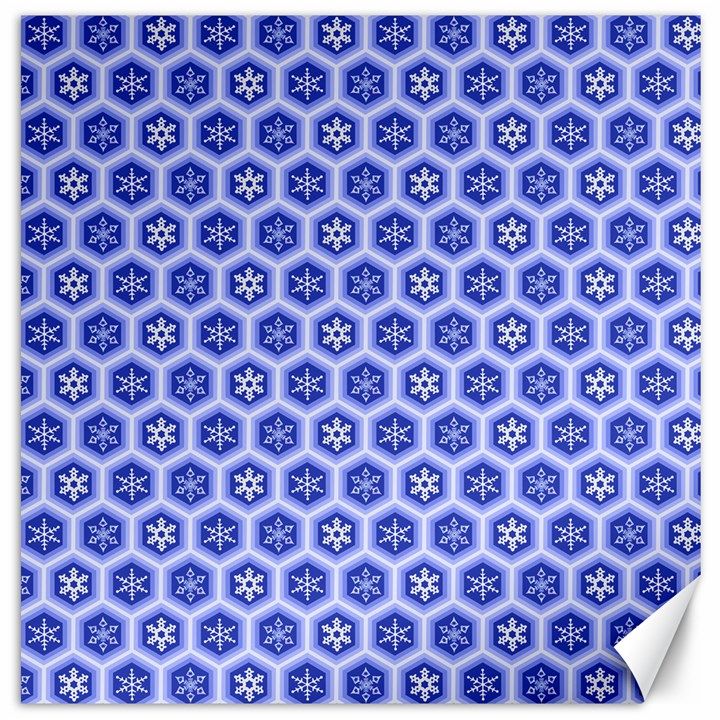 A Hexagonal Pattern Canvas 16  x 16 