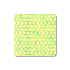 Traditional Patterns Hemp Pattern Green Square Magnet by Pakrebo