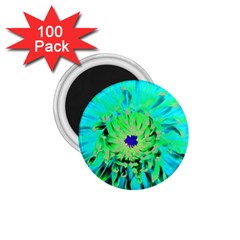 Aqua Cactus Dahlia 1 75  Magnets (100 Pack)  by myrubiogarden