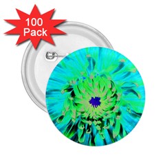 Aqua Cactus Dahlia 2 25  Buttons (100 Pack)  by myrubiogarden