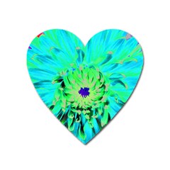 Aqua Cactus Dahlia Heart Magnet by myrubiogarden