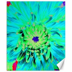 Aqua Cactus Dahlia Canvas 8  X 10 