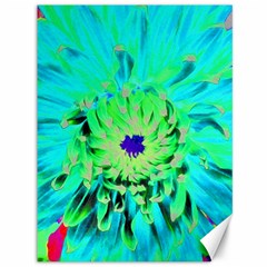 Aqua Cactus Dahlia Canvas 36  X 48  by myrubiogarden