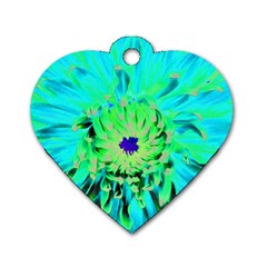 Aqua Cactus Dahlia Dog Tag Heart (two Sides) by myrubiogarden