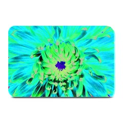 Aqua Cactus Dahlia Plate Mats by myrubiogarden