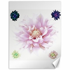 Abstract Transparent Image Flower Canvas 12  X 16  by Pakrebo