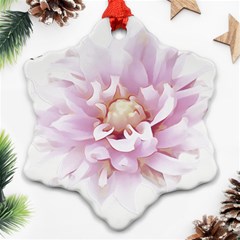 Abstract Transparent Image Flower Ornament (snowflake) by Pakrebo