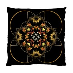 Fractal Stained Glass Ornate Standard Cushion Case (two Sides) by Pakrebo