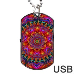 Kaleidoscope Pattern Ornament Dog Tag Usb Flash (one Side) by Pakrebo