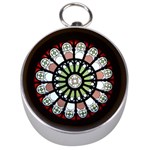 Color Light Glass Silver Compasses Front