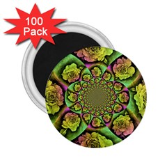 Rose Painted Kaleidoscope Colorful 2 25  Magnets (100 Pack)  by Pakrebo