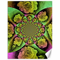 Rose Painted Kaleidoscope Colorful Canvas 12  X 16  by Pakrebo