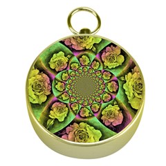 Rose Painted Kaleidoscope Colorful Gold Compasses by Pakrebo