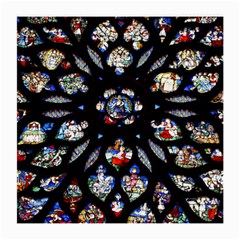 Stained Glass Sainte Chapelle Gothic Medium Glasses Cloth by Pakrebo