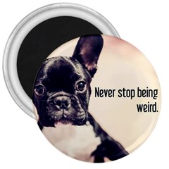 Never Stop Being Weird 3  Magnets by WensdaiAmbrose