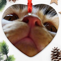 Funny Cute Cat Macro Eyes Ornament (heart) by LoolyElzayat