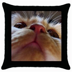 Funny Cute Cat Macro Eyes Throw Pillow Case (black) by LoolyElzayat