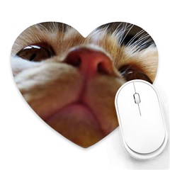 Funny Cute Cat Macro Eyes Heart Mousepads by LoolyElzayat