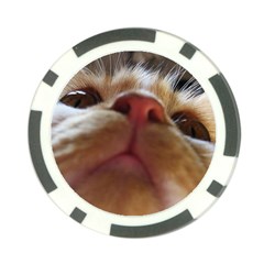 Funny Cute Cat Macro Eyes Poker Chip Card Guard (10 Pack) by LoolyElzayat