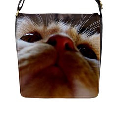 Funny Cute Cat Macro Eyes Flap Closure Messenger Bag (l) by LoolyElzayat