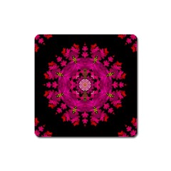 The Star Above Everything Shining Clear And Bright Square Magnet by pepitasart