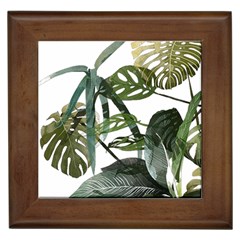 Botanical Illustration Palm Leaf Framed Tiles