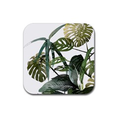 Botanical Illustration Palm Leaf Rubber Coaster (square)  by Mariart