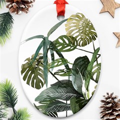 Botanical Illustration Palm Leaf Oval Ornament (two Sides) by Mariart