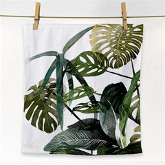 Botanical Illustration Palm Leaf Face Towel by Mariart